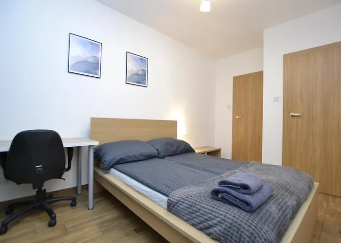 Apartmán Szmaragdowy Z Garazem Centrum Gliwic-klimatyzacja